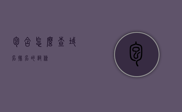 包含怎么查域名排名的词条，如何查询域名排名，一站式指南