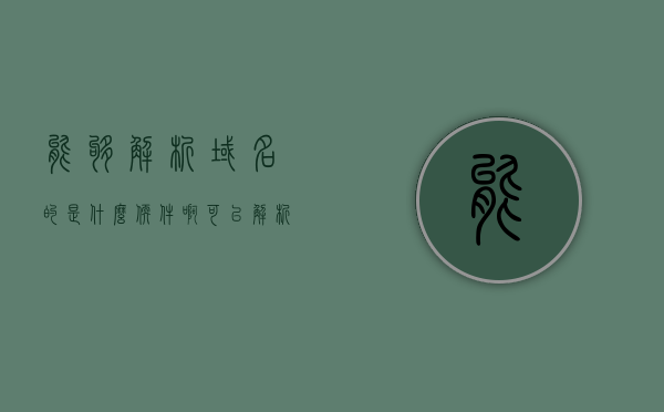 能够解析域名的是什么软件啊（可以解析的域名），域名解析软件解析功能详解，哪些软件能够解析域名？