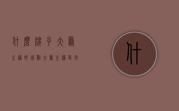 什么牌子大众主机好用点（大众主机区别），大众主机品牌推荐与区别解析，哪个牌子更受欢迎？，大众主机品牌推荐与解析，哪个牌子更受欢迎？全面对比不同品牌大众主机区别与优势！，大众主机品牌对比解析，优质品牌推荐与优势对比，哪个更受欢迎？全面解读不同品牌大众主机区别与优势！，大众主机品牌对比解析，优质品牌推荐与优势对比，全面解读不同品牌主机区别与受欢迎程度！