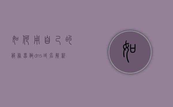 如何用自己的服务器做dns域名解析（如何用自己的服务器做dns域名解析模型），自建服务器实现DNS域名解析的方法与模型解析