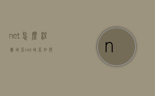 net怎么注册域名（net域名如何）