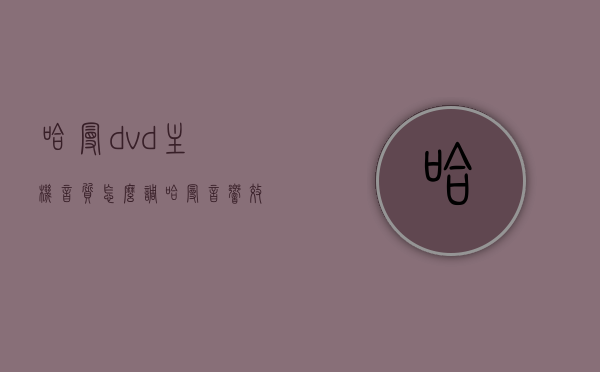 哈曼dvd主机音质怎么调（哈曼音响效果），哈曼DVD主机音质调整指南，优化哈曼音响效果，哈曼DVD主机音质调整与优化指南，提升音响效果至最佳状态