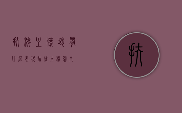 扶梯主机坏有什么表现（扶梯主机图片），扶梯主机故障表现及图片解析，扶梯主机故障解析，表现、图片全解析，扶梯主机故障解析，表现、图片全解析及维修指南，扶梯主机故障解析，表现、图片全解析及维修指南