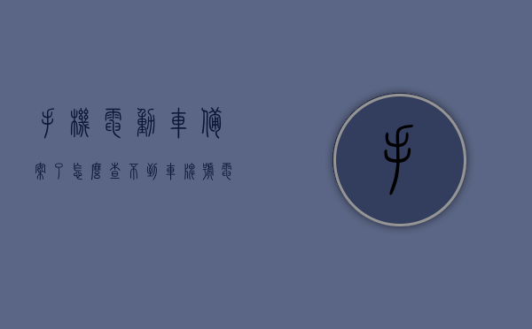手机电动车备案了怎么查不到车牌号（电动车备案为什么查不到信息），电动车备案后为何无法查询到车牌号信息？