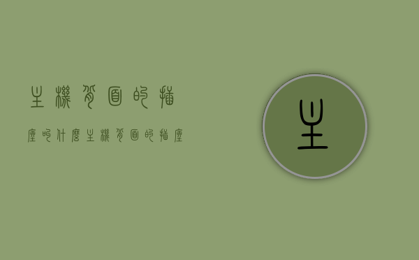 主机背面的插座叫什么（主机背面的插座叫什么名称），主机背面插座名称解析，那些背后的接口叫什么？，主机背面插座解析，名称及功能介绍，主机背面插座解析，名称、功能及接口介绍，主机背面插座全解析，名称、功能及接口介绍