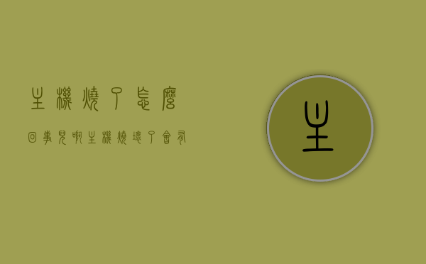 主机烧了怎么回事儿啊（主机烧坏了会有什么后果），主机烧毁原因及后果解析，主机烧毁原因与后果解析，影响、后果及应对方法全解析，主机烧毁原因与后果解析，解析烧毁影响及应对方法全攻略，主机烧毁原因与后果解析，全面解析烧毁影响、应对方法及攻略，全面解析，主机烧毁原因、后果及应对攻略