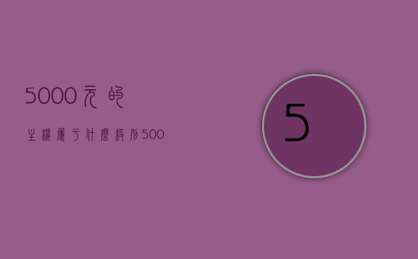 5000元的主机属于什么级别（5000价位主机），5000元价位主机性能级别解析，5000元价位主机性能级别解析，揭示其所属级别与性能特点，5000元价位主机性能级别解析，揭示其所属级别与性能特点，5000元价位主机性能深度解析，揭示所属级别与独特特点