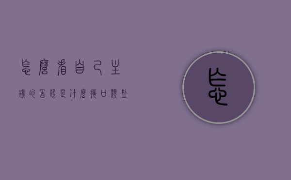 怎么看自己主机的固态是什么接口类型（怎么看电脑固态什么接口），如何确定电脑主机固态硬盘接口类型？，如何确定电脑主机固态硬盘接口类型，查看固态接口的方法指南