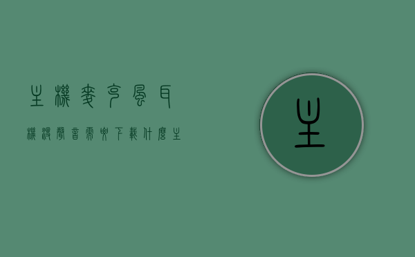 主机麦克风耳机没声音需要下载什么（主机插耳机没麦克风），主机无声问题解析，耳机麦克风无声需下载哪些解决方案？