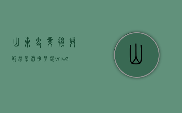 山东专业批发服务器虚拟主机（vmware山东代理），山东服务器虚拟主机专业批发及VMware代理服务