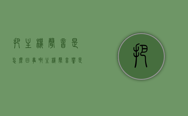 把主机声音是怎么回事啊（主机声音响是怎么回事），主机声音异常解析，主机声音响的原因及解决办法，主机声音异常解析，原因、解决办法与响声探讨