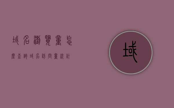 域名浏览量怎么查询（域名访问量统计），如何查询域名浏览量（域名访问量统计全攻略）