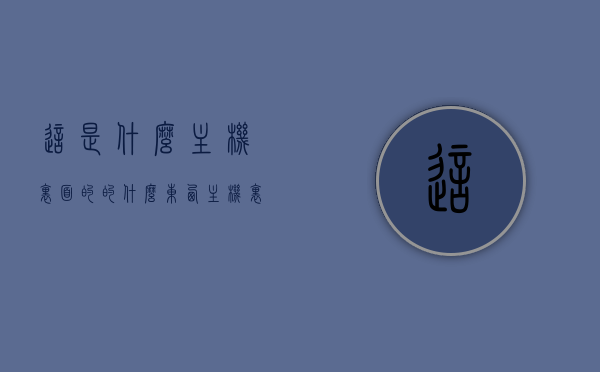 这是什么主机里面的的什么东西（主机里面都是什么），主机内部组件解析，揭秘主机内部神秘物品，揭秘主机内部神秘物品，组件解析与深度揭秘