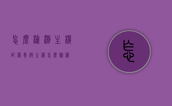 怎么检测主机配置真假（主机怎么验机），如何检测主机配置真伪及验机方法，如何检测主机配置真伪及验机方法全攻略
