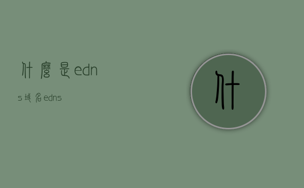 什么是edns域名（e dns），EDNS域名解析，什么是eDNS？，EDNS域名解析详解，什么是eDNS及其工作原理？