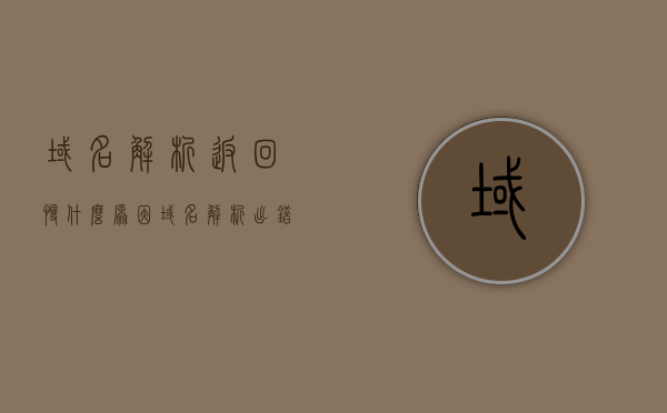 域名解析返回慢什么原因（域名解析出错怎么办），域名解析问题解析，慢响应与出错原因及解决方案