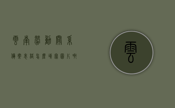 云南劳动关系备案表格怎么填写图片啊（云南劳动关系备案表格怎么填写图片啊），云南劳动关系备案表格填写指南及图片示例，云南劳动关系备案表格填写指南与图片示例解析，云南劳动关系备案表格填写指南及图片示例解析，云南劳动关系备案表格填写指南与图解解析，从入门到精通的实操教程，云南劳动关系备案表格填写指南及图解解析，从入门到精通的实操教程