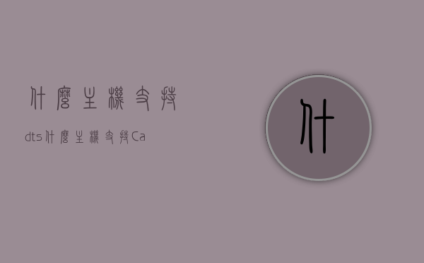 什么主机支持dts（什么主机支持Carplay），支持DTS与Carplay功能的主机介绍