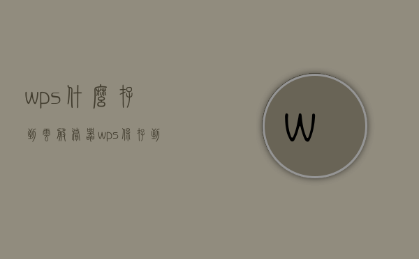 wps什么存到云服务器（wps保存到云文档还需要保存到本地吗），WPS文档存储与云服务器，是否需要同时保存到本地？