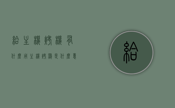 给主机烤机有什么用（主机烤鸡是什么意思），关于主机烤机的含义及其作用解析，关于主机烤机的含义及其作用解析，为何需要给主机烤机？，关于主机烤机的含义与作用的深度解析，为何要给主机进行烤机测试？