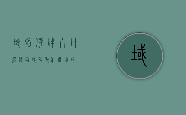 域名软件入什么科目（域名做什么用的），关于域名软件所属科目及域名用途解析，关于域名软件所属科目及域名用途的解析与探讨