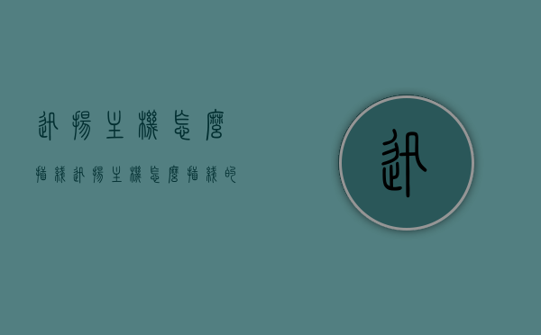 迅扬主机怎么插线（迅扬主机怎么插线的），迅扬主机插线指南，详细步骤解析，迅扬主机插线指南，详细步骤解析，轻松掌握迅扬主机接线方法！，迅扬主机插线指南，详细步骤解析，轻松掌握接线方法！，迅扬主机插线指南，详细步骤解析，轻松掌握接线方法！，迅扬主机插线详解，轻松掌握接线方法与步骤指南