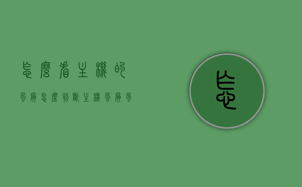 怎么看主机的风扇（怎么判断主机风扇风向），如何观察与判断主机风扇风向及性能？，如何观察与判断主机风扇风向及性能指南，如何观察与判断主机风扇风向及性能，全面指南与实用技巧分享​​