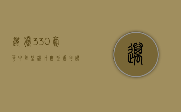 迈腾330豪华中控主机什么型号的（迈腾330豪华型中控介绍），迈腾330豪华型中控主机型号详解及介绍，迈腾330豪华型中控主机型号详解及中控功能介绍