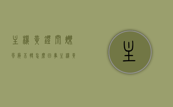 主机黄灯闪烁风扇不转怎么回事（主机黄灯闪烁风扇不转怎么回事儿），主机黄灯闪烁风扇不转的故障解析与处理方法，主机黄灯闪烁风扇不转故障解析与处理，原因与处理方法全解析，主机黄灯闪烁风扇不转故障解析，原因、处理方法全解析与实用指南