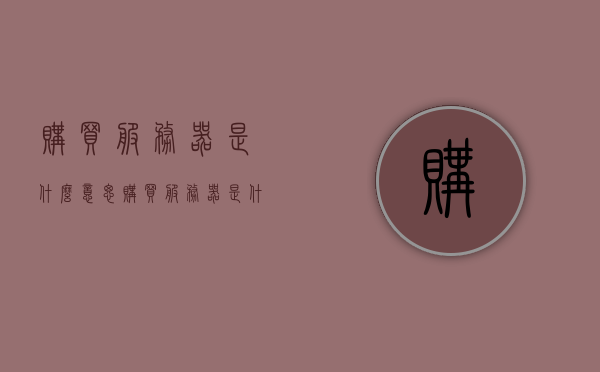 购买服务器是什么意思（购买服务器是什么意思啊），购买服务器的含义解析，购买服务器的含义解析与操作指南