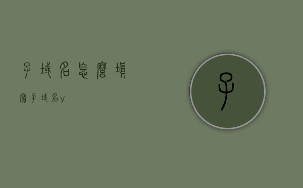 子域名怎么填写（子域名y），子域名y的填写指南，详解子域名如何设置与填写，子域名y的填写指南，详解如何设置与填写子域名
