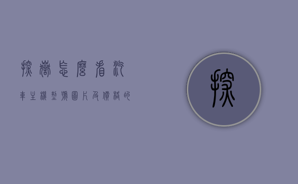 探岳怎么看汽车主机型号图片及价格的简单介绍，探岳汽车主机型号介绍，图片、价格一览，探岳汽车主机型号详解，图片、价格一览及介绍，探岳汽车主机型号详解，图片、价格一览及全面介绍