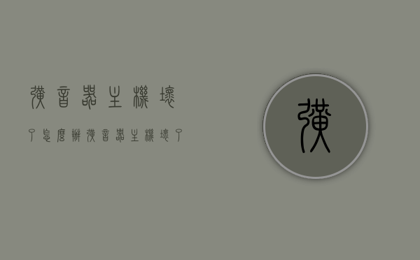 扩音器主机坏了怎么办（扩音器主机坏了怎么办视频），扩音器主机故障处理指南，维修方法与视频教程，扩音器主机故障处理指南，维修方法与视频教程全解析，扩音器主机故障处理详解，维修方法、视频教程及故障应对指南全解析。，扩音器主机故障处理详解，维修方法、视频教程与应对指南全解析