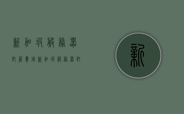 新加坡服务器托管费用（新加坡服务器托管费用高吗），新加坡服务器托管费用解析，费用是否高昂？，新加坡服务器托管费用解析，费用是否高昂及其影响因素探讨，新加坡服务器托管费用深度解析，高昂与否的影响因素探讨，新加坡服务器托管费用深度解析，费用结构、高昂与否及影响因素探讨，新加坡服务器托管费用深度解析，费用结构、高昂与否的影响因素探讨，新加坡服务器托管费用深度解析，费用结构、高昂与否及影响因素探讨，新加坡服务器托管费用深度解析，费用结构、高昂与否的影响因素探讨 第1张