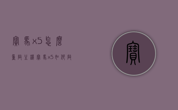 宝马x5怎么重启主机（宝马x5如何启动详解），宝马X5主机重启及启动详解指南