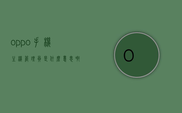 oppo手机主机管理员是什么意思啊（oppo手机管理器），OPPO手机主机管理员职责与功能解析（手机管理器介绍），OPPO手机主机管理员职责与功能解析，手机管理器介绍及功能详解，OPPO手机主机管理员职责与功能全面解析，从职责到功能详解的手机管理器介绍