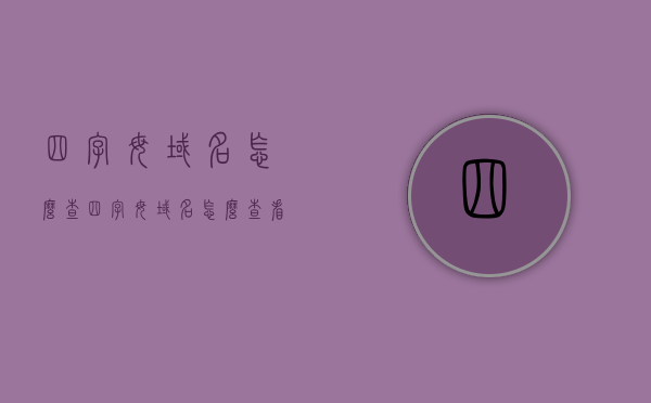 四字母域名怎么查（四字母域名怎么查看），四字母域名查询方法及步骤
