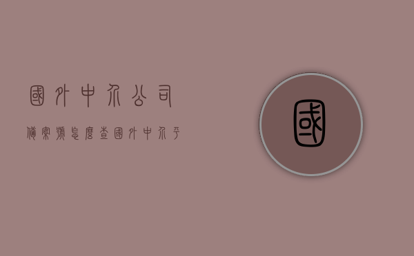 国外中介公司备案号怎么查（国外中介平台），国外中介公司备案号查询指南（涵盖中介平台信息），国外中介公司备案号查询指南，涵盖中介平台信息及查询步骤