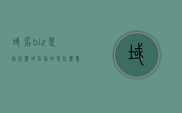 域名biz是指什么（域名指的是什么意思），关于域名biz的解析与含义探讨，域名究竟指的是什么意思？