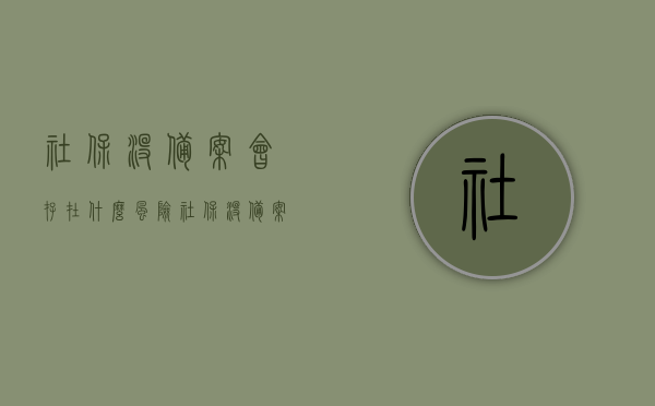 社保没备案会存在什么风险（社保没备案有什么影响），社保未备案存在的风险及影响解析，社保未备案的风险及影响深度解析，潜在风险与影响探讨