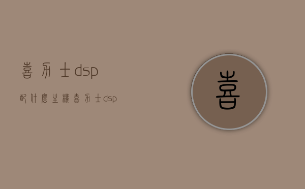 喜力士dsp配什么主机（喜力士dsp中文说明书），喜力士DSP适配主机及中文使用说明指南