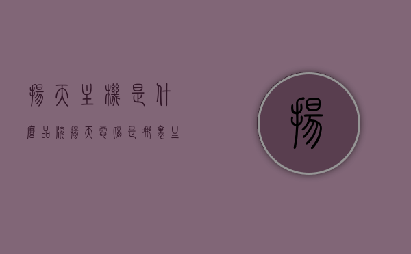 扬天主机是什么品牌（扬天电脑是哪里生产的），扬天主机品牌介绍及生产地揭秘，扬天主机品牌揭秘，生产地与品牌介绍，扬天主机品牌深度解析，生产地揭秘与品牌介绍，扬天主机品牌深度解析及生产地揭秘，品牌历程与产品特点概述