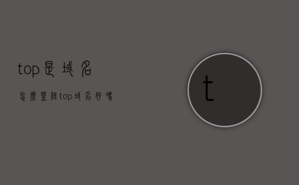 top是域名怎么登陆（top域名好吗），Top域名登陆指南及评价其优劣，Top域名登陆指南，如何登录Top域名并评价其优劣
