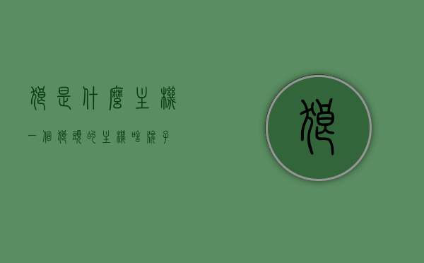 狼是什么主机（一个狼头的主机啥牌子），狼头主机品牌揭秘，神秘主机究竟是何方神圣？
