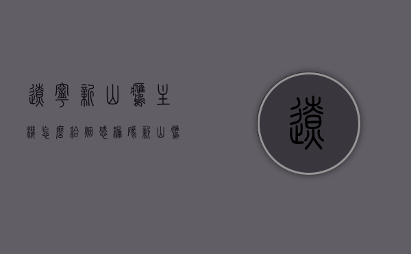 辽宁新山鹰主机怎么给烟感编码（新山鹰报警设备接线图），辽宁新山鹰主机烟感编码指南及报警设备接线图全解析，辽宁新山鹰主机烟感编码指南及报警设备接线图详解，从编码到接线全攻略，辽宁新山鹰主机烟感编码及报警设备接线图详解，从编码到接线的全程指南，辽宁新山鹰主机烟感编码及报警设备接线图详解，从编码到接线的全流程指南，辽宁新山鹰主机烟感编码与报警设备接线图详解，全流程指南