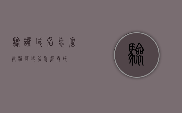 验证域名怎么弄（验证域名怎么弄的），如何验证域名设置？，如何验证域名设置及操作步骤详解，如何验证域名设置及详细操作步骤解析