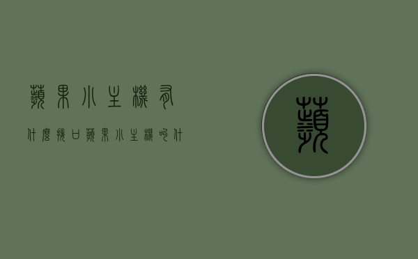 苹果小主机有什么接口（苹果小主机叫什么），苹果小主机的接口及命名概述，苹果小主机的接口概述与命名特点