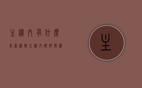 主机内有什么东西图解（主机内部详解图），主机内部详解图，揭示主机内部组件图解