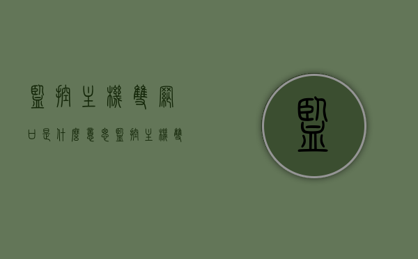 监控主机双网口是什么意思（监控主机双网卡接法），监控主机双网口与双网卡接法解析，监控主机双网口与双网卡接法详解，概念与解析，监控主机双网口与双网卡接法详解，概念、应用与解析，监控主机双网口与双网卡接法详解，概念、应用及操作解析