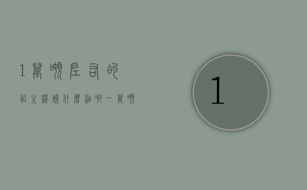 1万吨左右的船主机烧什么油啊（一万吨船用多大柴油机），一万吨船舶主机使用的油料，关于船用柴油机的选择与油料探讨，关于一万吨船舶主机使用的油料及船用柴油机的选择探讨